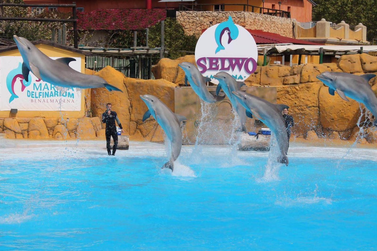 Peaceful With Amazing Sea Views And Free Parking * Benalmadena